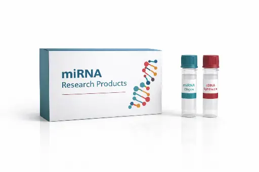 [MO-0033] miRNA oligo mix miR-106a
