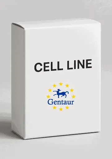 [MA-SC865099HU] CHOK1/Human CD93 Stable Cell Line