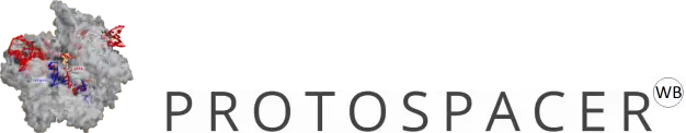 ProtoSpacer